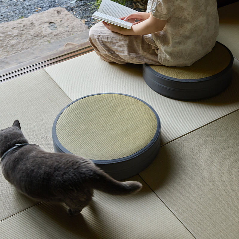 เบาะรองนั่งทรงกลมแบบญี่ปุ่น ทำ - Tatami Mat Rush บทวิจารณ์และราคา